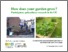 [thumbnail of NKV2012_How does your garden grow_Oxford.pdf]