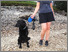 [thumbnail of the-dog-walkers-13.jpg]