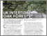 [thumbnail of Tupper_UKIntertidalOak.pdf]