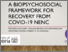 [thumbnail of A Biopsychosocial framework for recovery from covid-19.pdf]