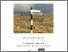 [thumbnail of Mansfield_InvestigatingThePublic_FullReport.pdf]