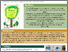 [thumbnail of Carr_CoproducingTheTreescapes.pdf]